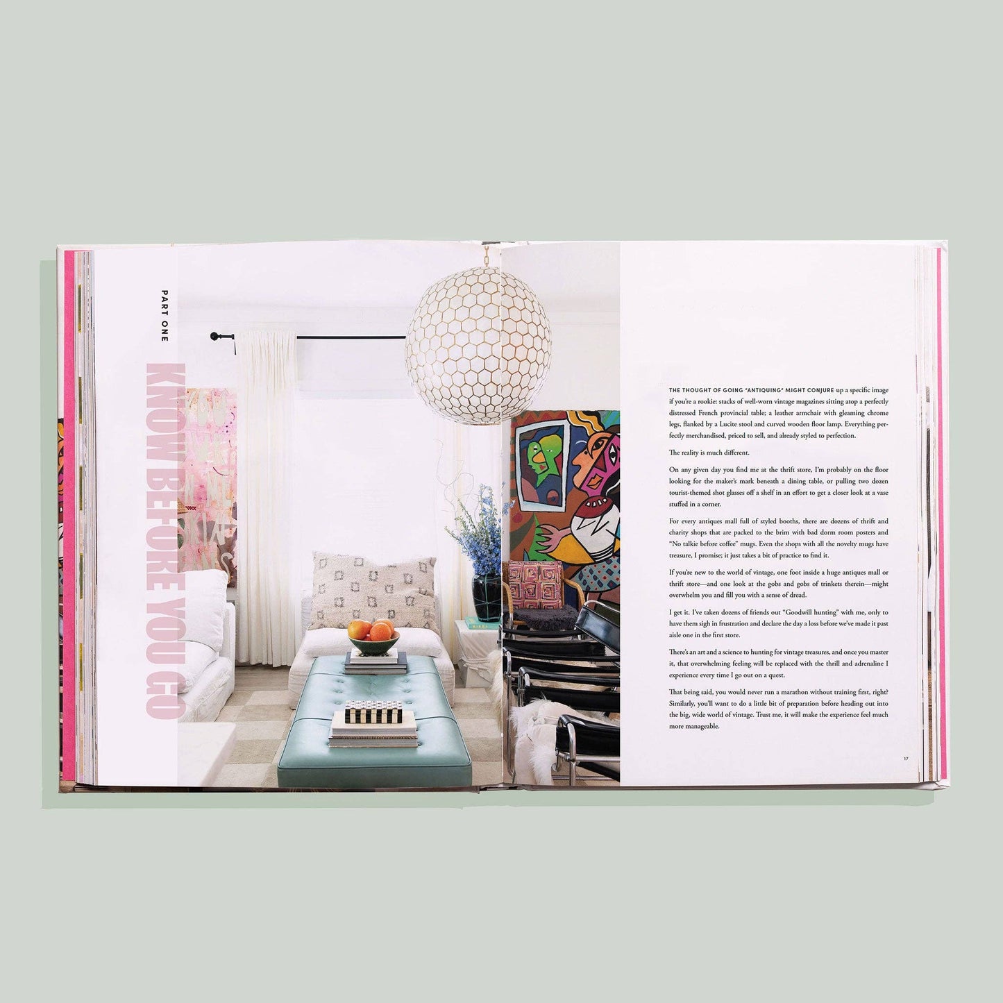 Big Thrift Energy - a handbook for vintage secondhand decor