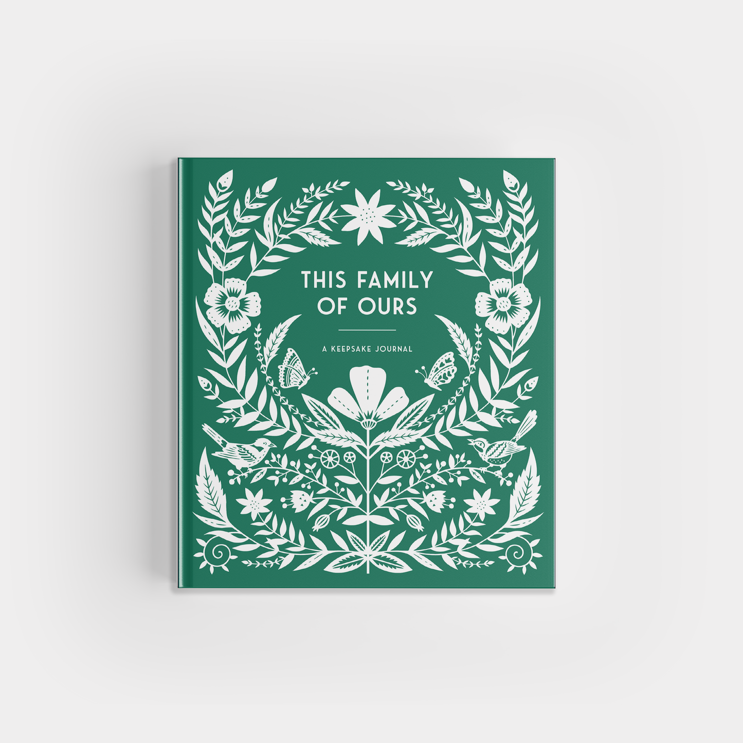 This Family of Ours: A Guided Journal for Families