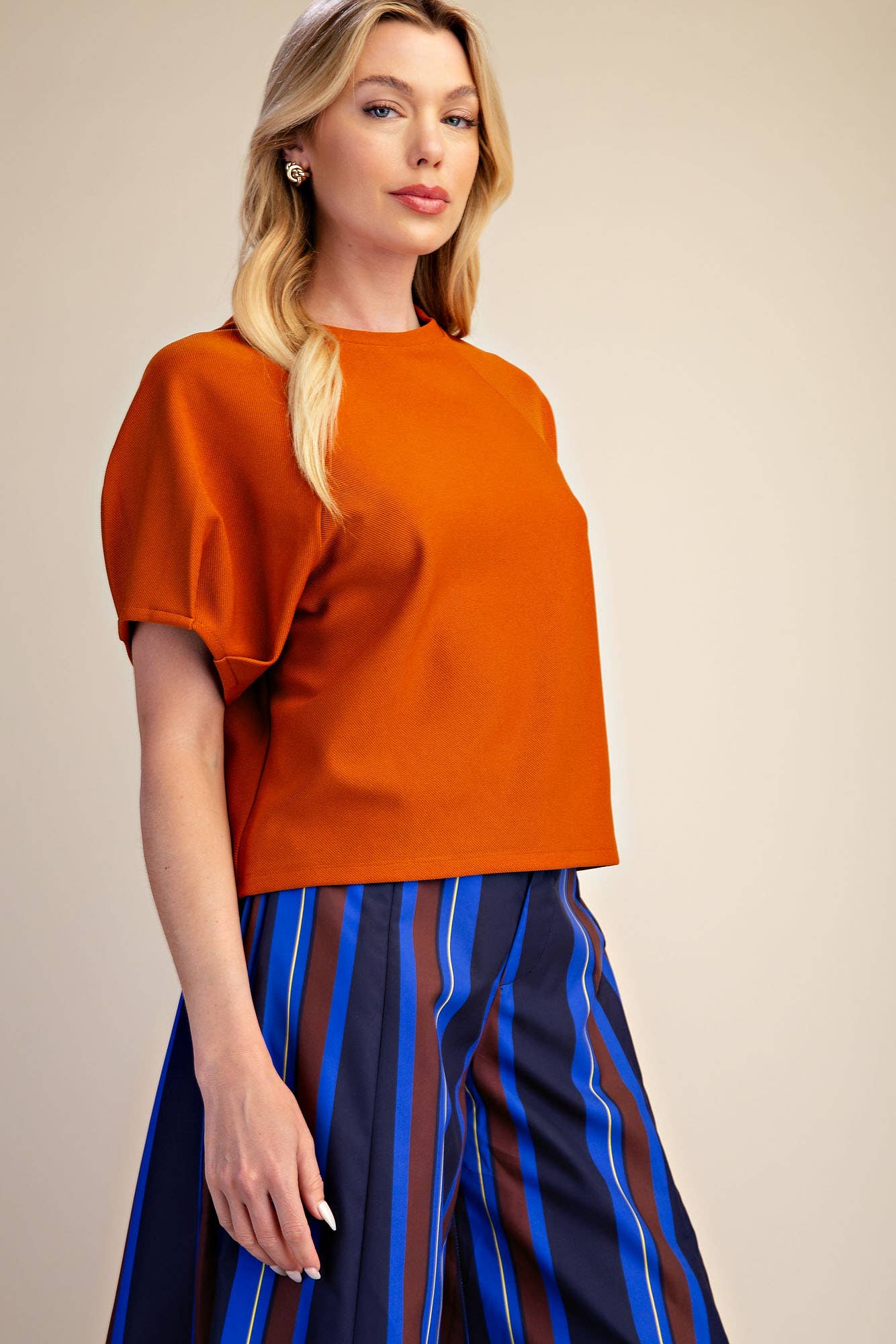 Round Neck Puff Short Sleeve Pullover Top
