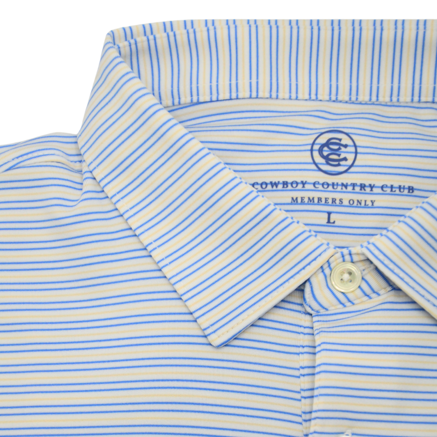Thin Stripe Polo