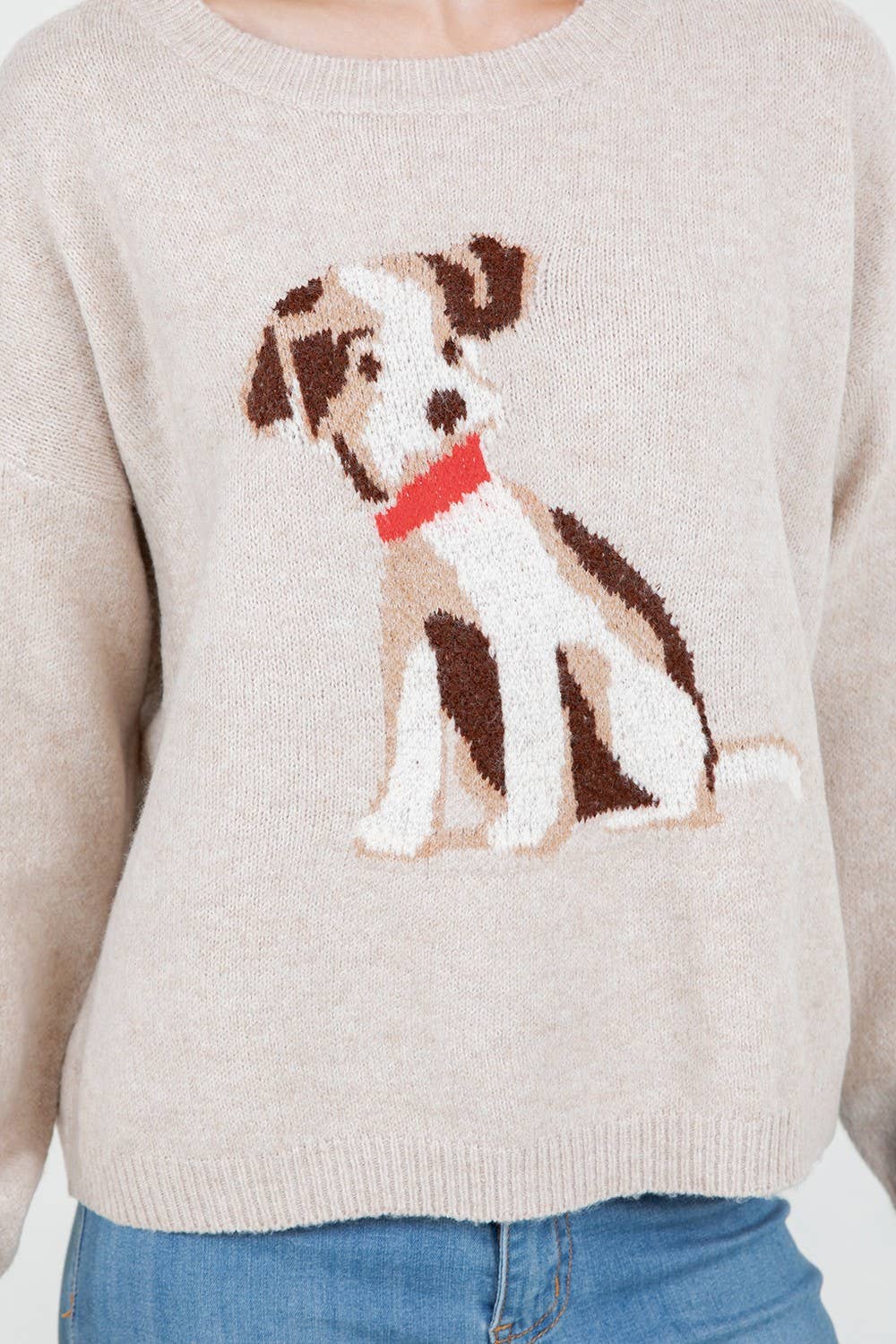 Puppy Graphic Knit Sweater