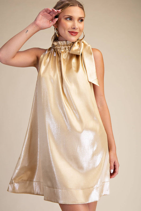 Round Neck Tie Sleeveless Mini Dress