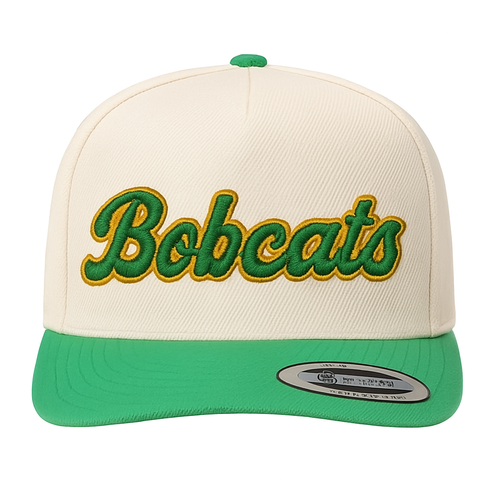 Spirit wear hat, embroidered hat, custom team hat, football