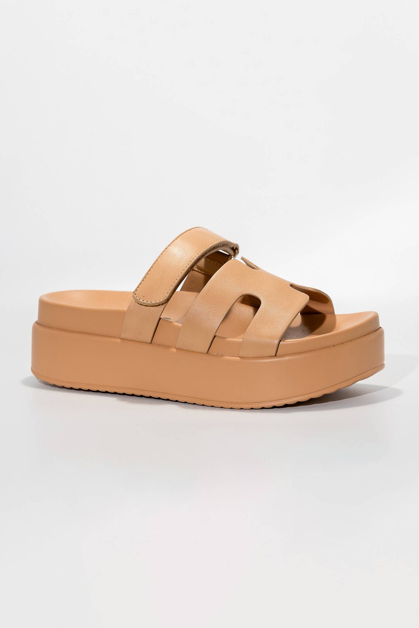 TS-GIANNA