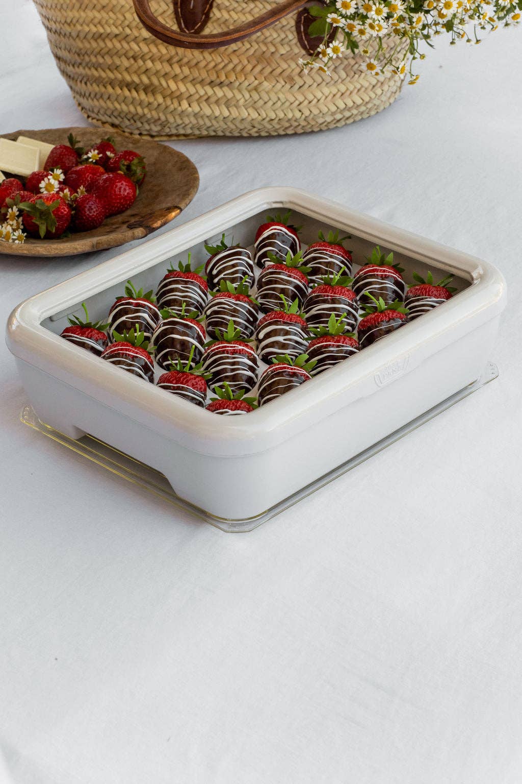 Fancy Panz® Accessory - Deviled Egg Tray Insert